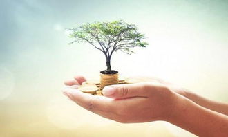 北京個(gè)人設(shè)計(jì)工作室注冊與運(yùn)營全攻略 開啟您的專業(yè)設(shè)計(jì)服務(wù)之路